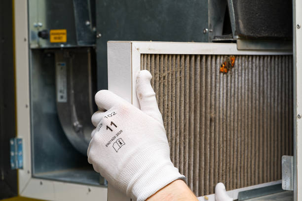 Best Residential Air Duct Cleaning  in Mount Ora, OH